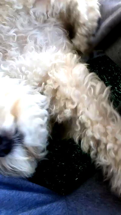 feelbetterinmysweater feelbetterinmysweater archive video