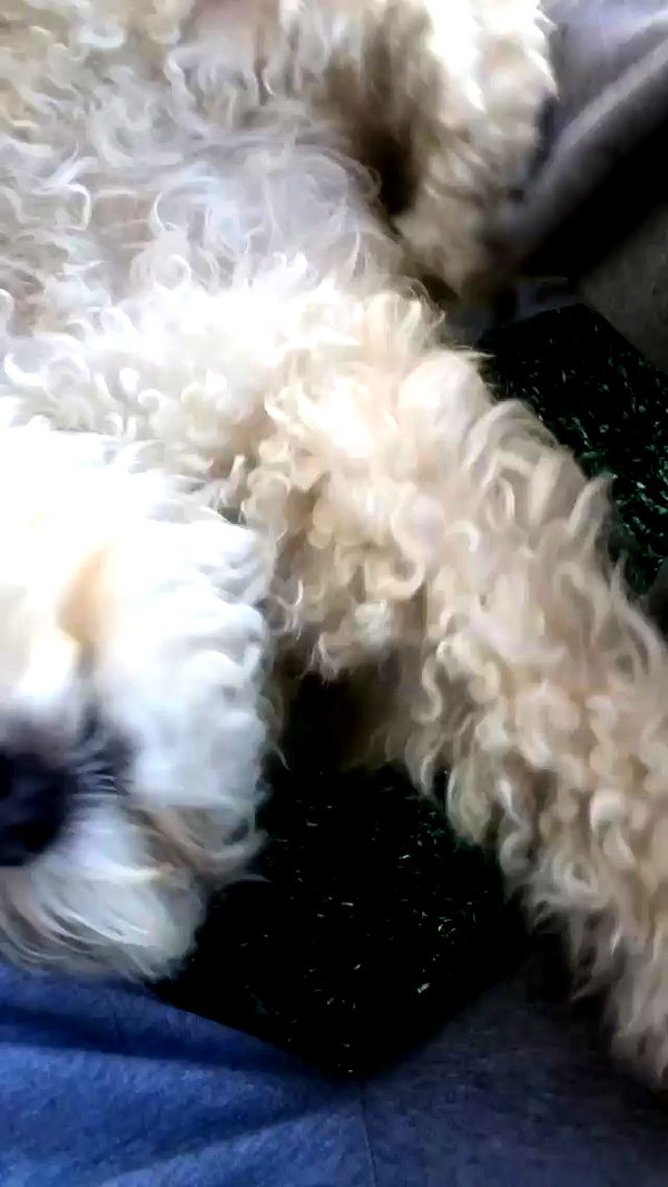 feelbetterinmysweater archive video preview