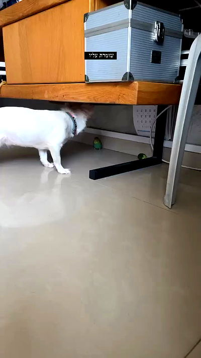 tinapavlov.sky tinapavlov.sky archive video