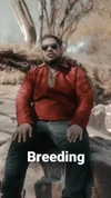 masood_boomgaard Altpins Profile Picture
