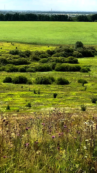 nyityam nyityam archive video