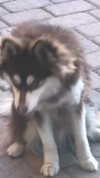 jailyneojeda Altpins Profile Picture