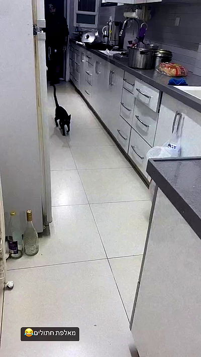 rebecka_tsadok rebecka_tsadok archive video