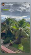 amit.yaron Altpins Profile Picture