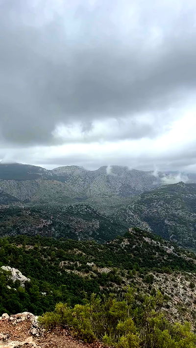 iambohema.v2 iambohema.v2 archive video