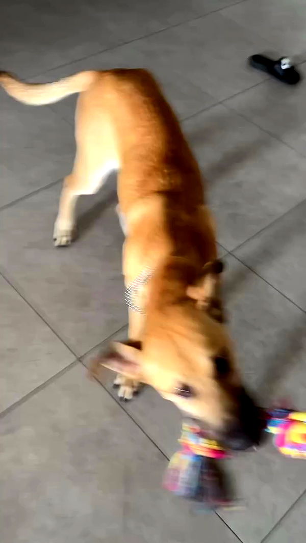 feelbetterinmysweater archive video preview