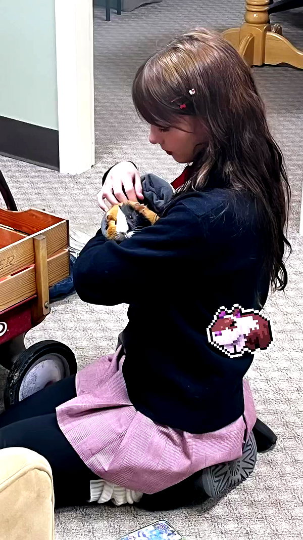 lilarosepalaza archive video preview