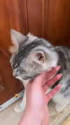 jessielbazz Altpins Profile Picture