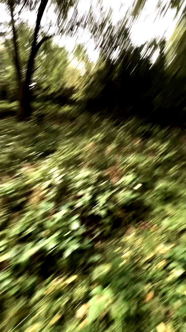 aekamee archive video preview