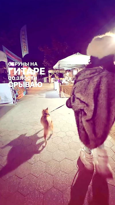 zommmbri zommmbri archive video