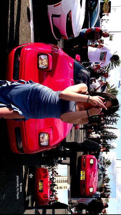 simp_for_cats_ simp_for_cats_ archive video