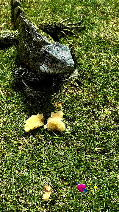 shunli__mei shunli__mei archive video