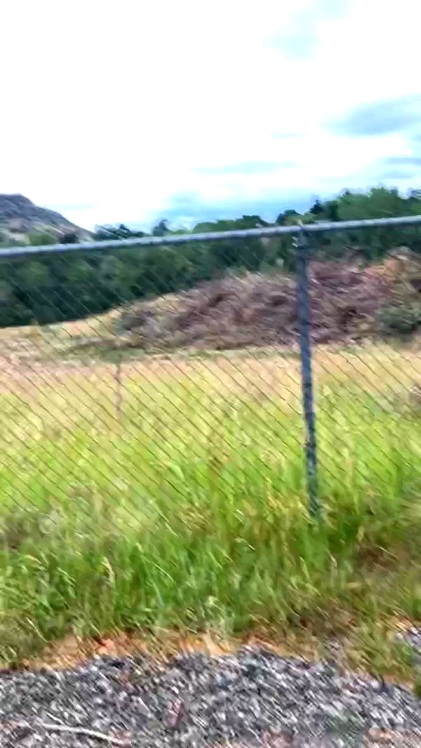 zommmbri archive video preview