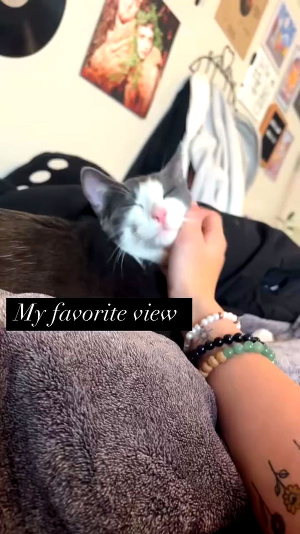 tatum.ricee archive video preview