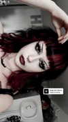draculula Altpins Profile Picture