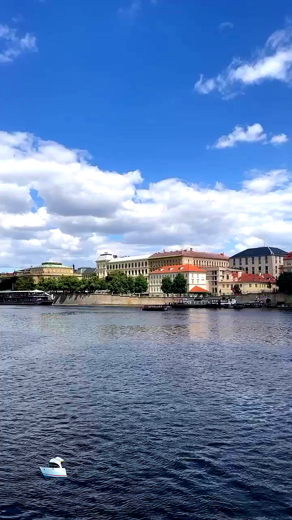 noammalka___ archive video preview