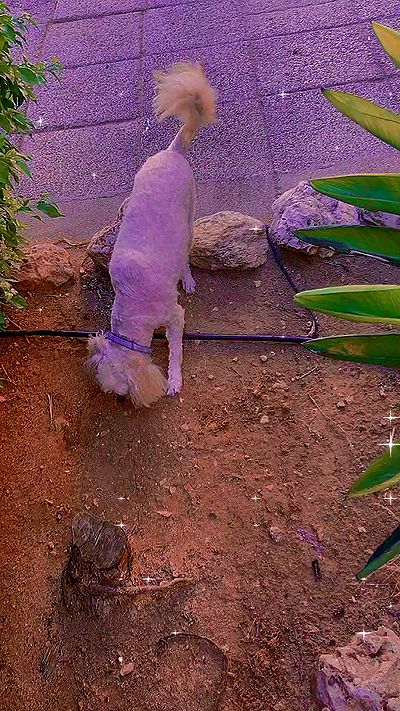 feelbetterinmysweater feelbetterinmysweater archive video