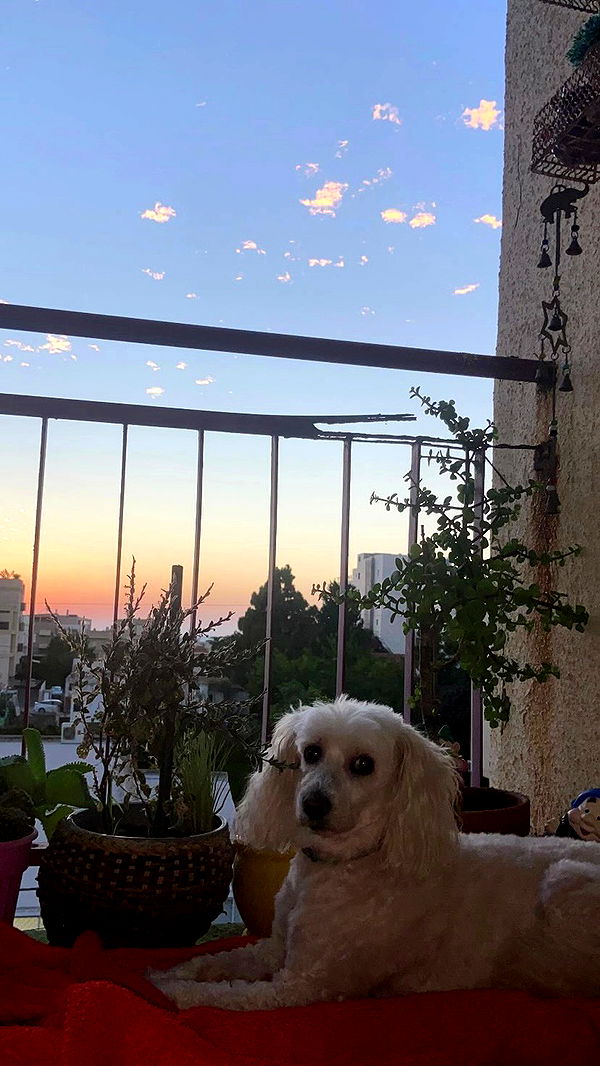 feelbetterinmysweater archive video preview