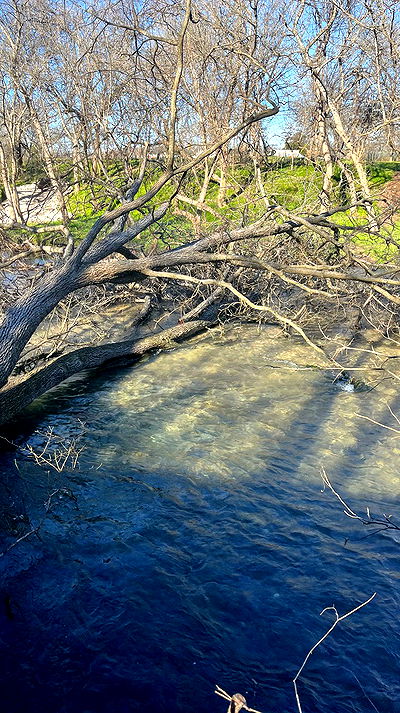 tatum.ricee tatum.ricee archive video