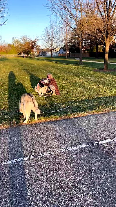 _animechika_ _animechika_ archive video