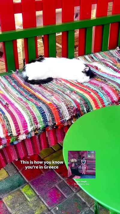 adellepisar adellepisar archive video