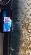 sydney_melman Altpins Profile Picture