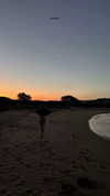 naylorliana_ Altpins Profile Picture