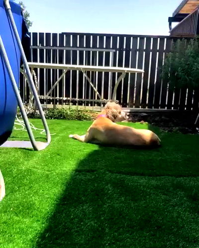 kesemgreenyer kesemgreenyer archive video