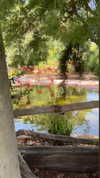 protheme Altpins Profile Picture