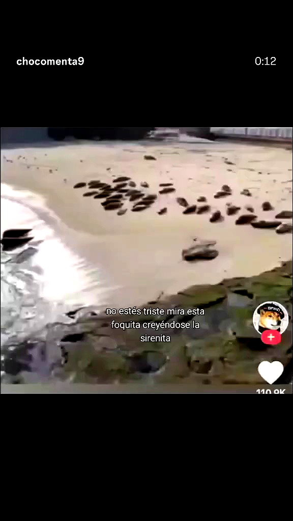 shunli_mei22 archive video preview