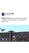 charliekirk1776 Altpins Profile Picture