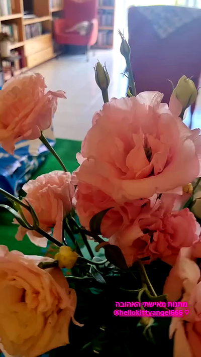 shayli_or shayli_or archive video