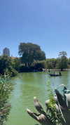 amit.yaron Altpins Profile Picture