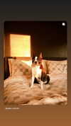 jade.schutte Altpins Profile Picture