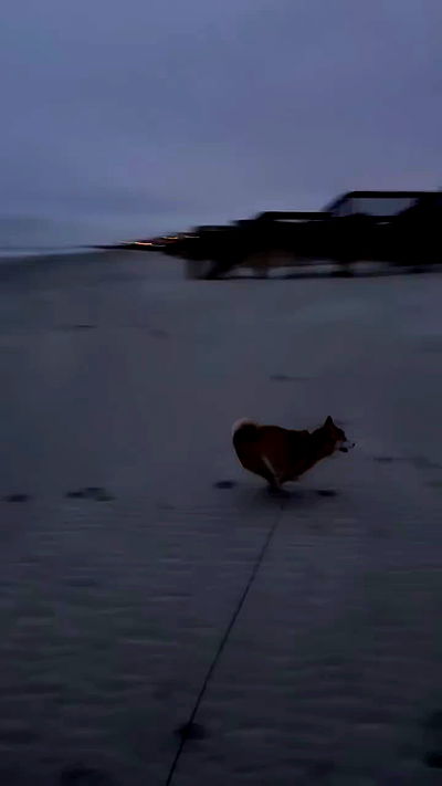 zommmbri zommmbri archive video