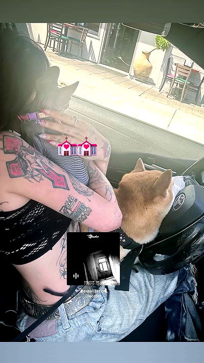 zommmbri zommmbri archive video