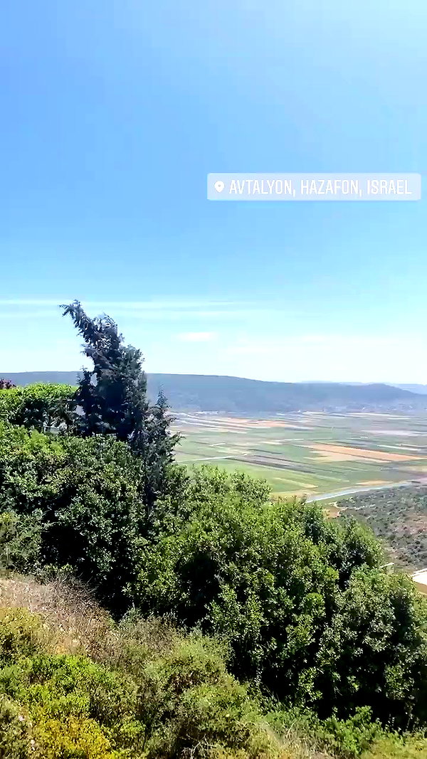 liad.arazi archive video preview