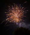 jhelenosx Altpins Profile Picture