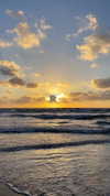 lital.oss Altpins Profile Picture