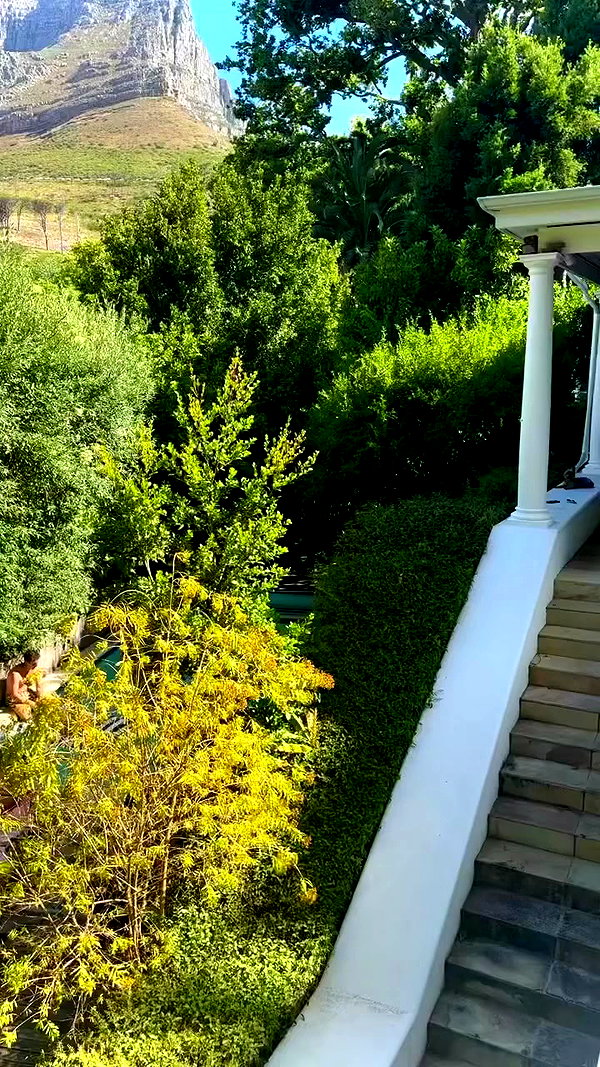 noa_mendel_ archive video preview