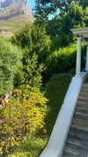 noa_mendel_ Altpins Profile Picture