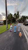 kimberly.loaiza Altpins Profile Picture