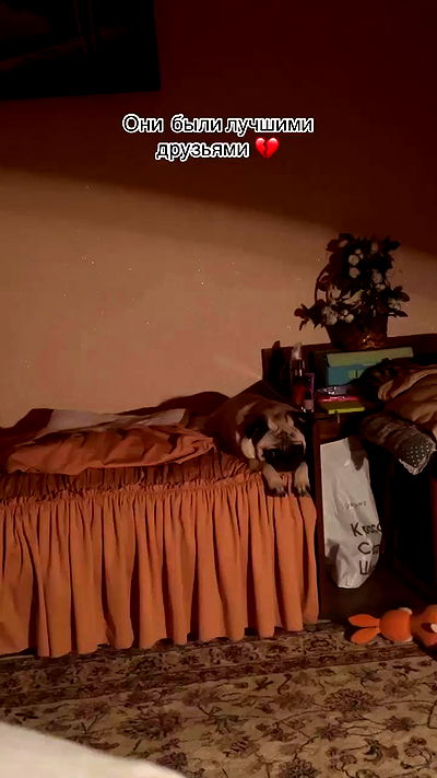 nyityam nyityam archive video