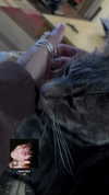 ellmari.e Altpins Profile Picture