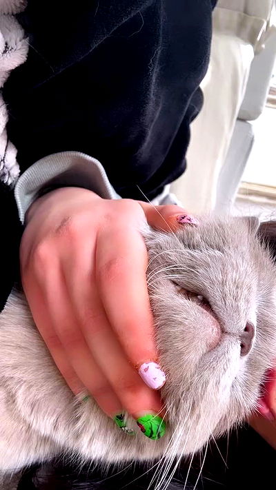 hellokittyangel666 hellokittyangel666 archive video