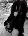 veildose Altpins Profile Picture