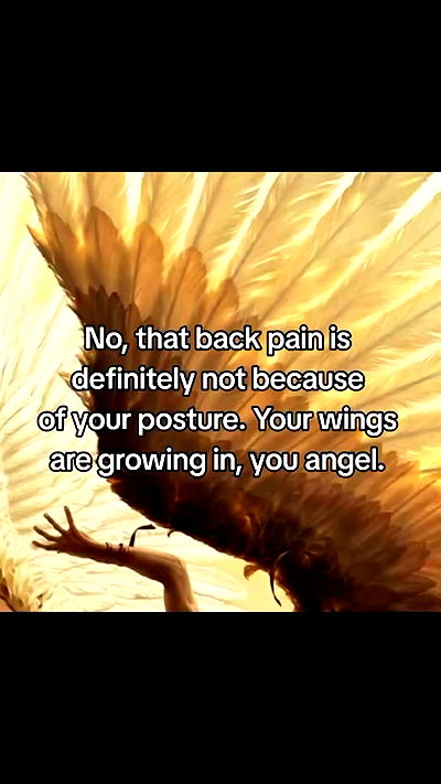 feelbetterinmysweater feelbetterinmysweater archive video