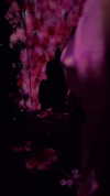 candy_balll Altpins Profile Picture