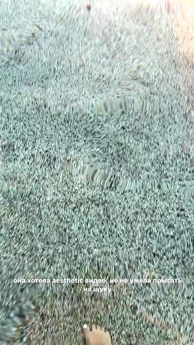 annfigma annfigma archive video