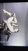 sydney_melman Altpins Profile Picture